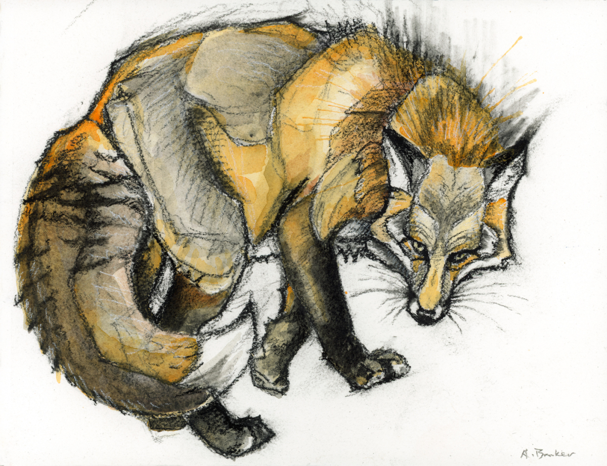 Andrew Barker, Scruff