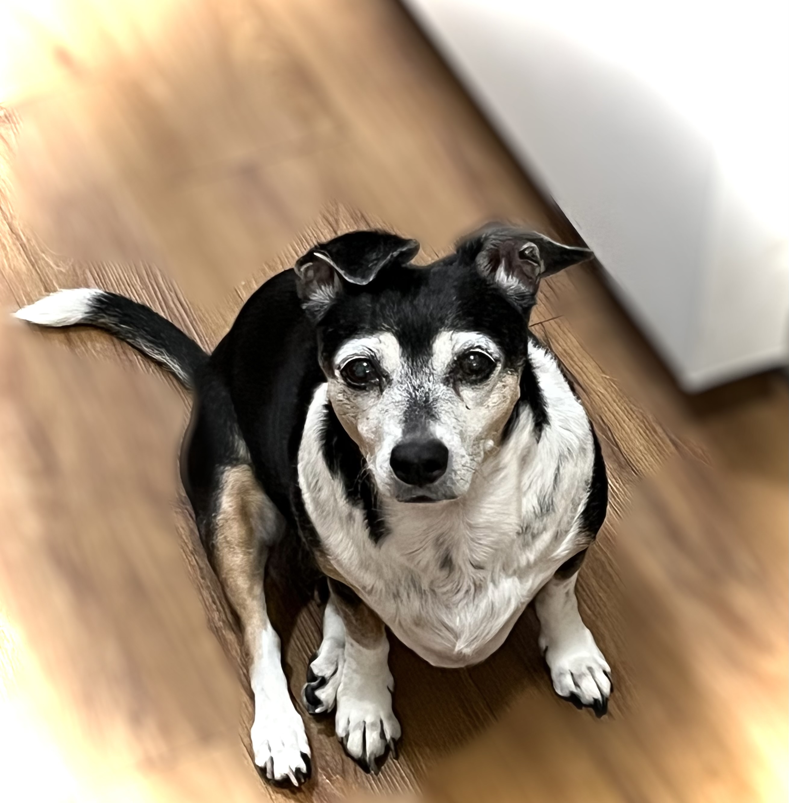 ANGEL IS HEIDI'S FRIEND