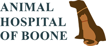 Animal Hospital of Boone