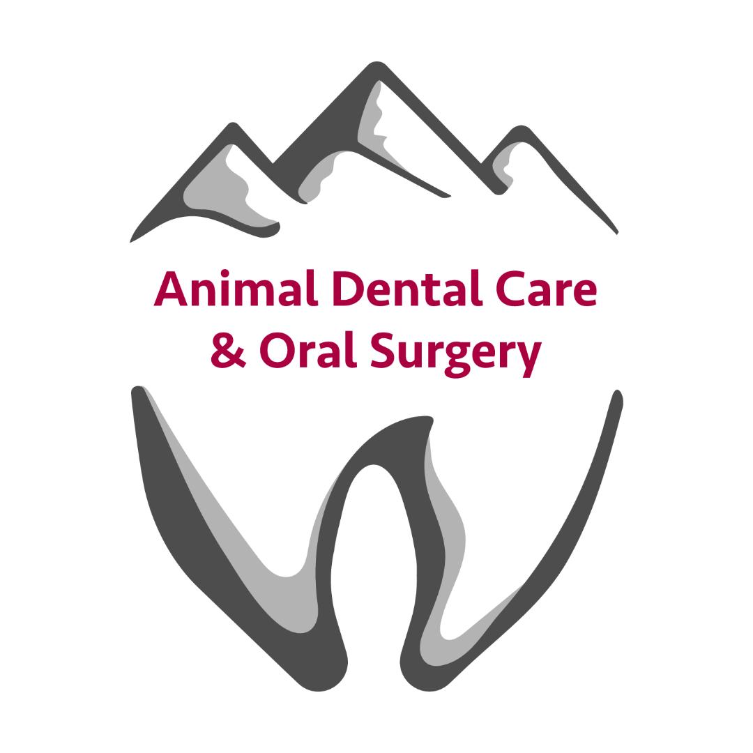 Animal Dental Care & Oral Surgery