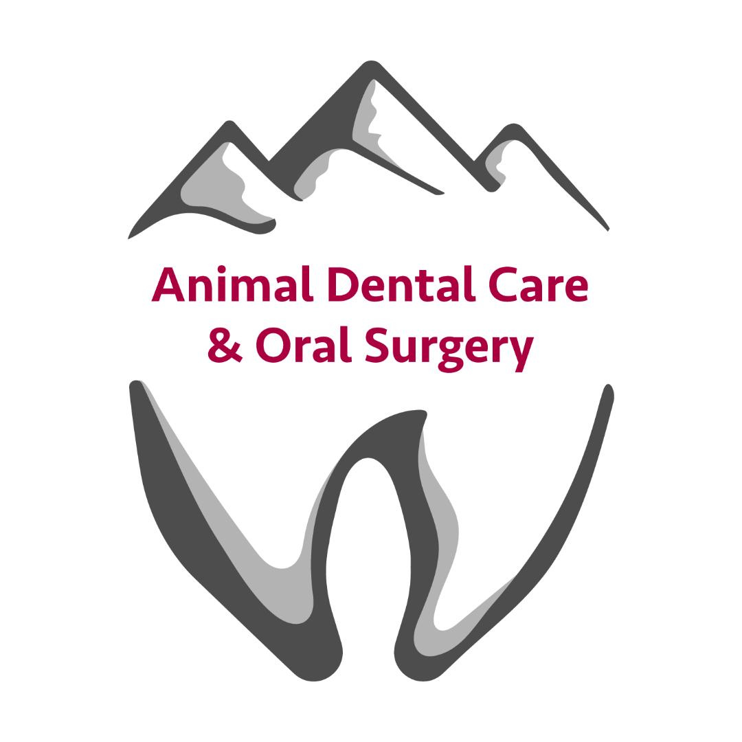 Animal Dental Care