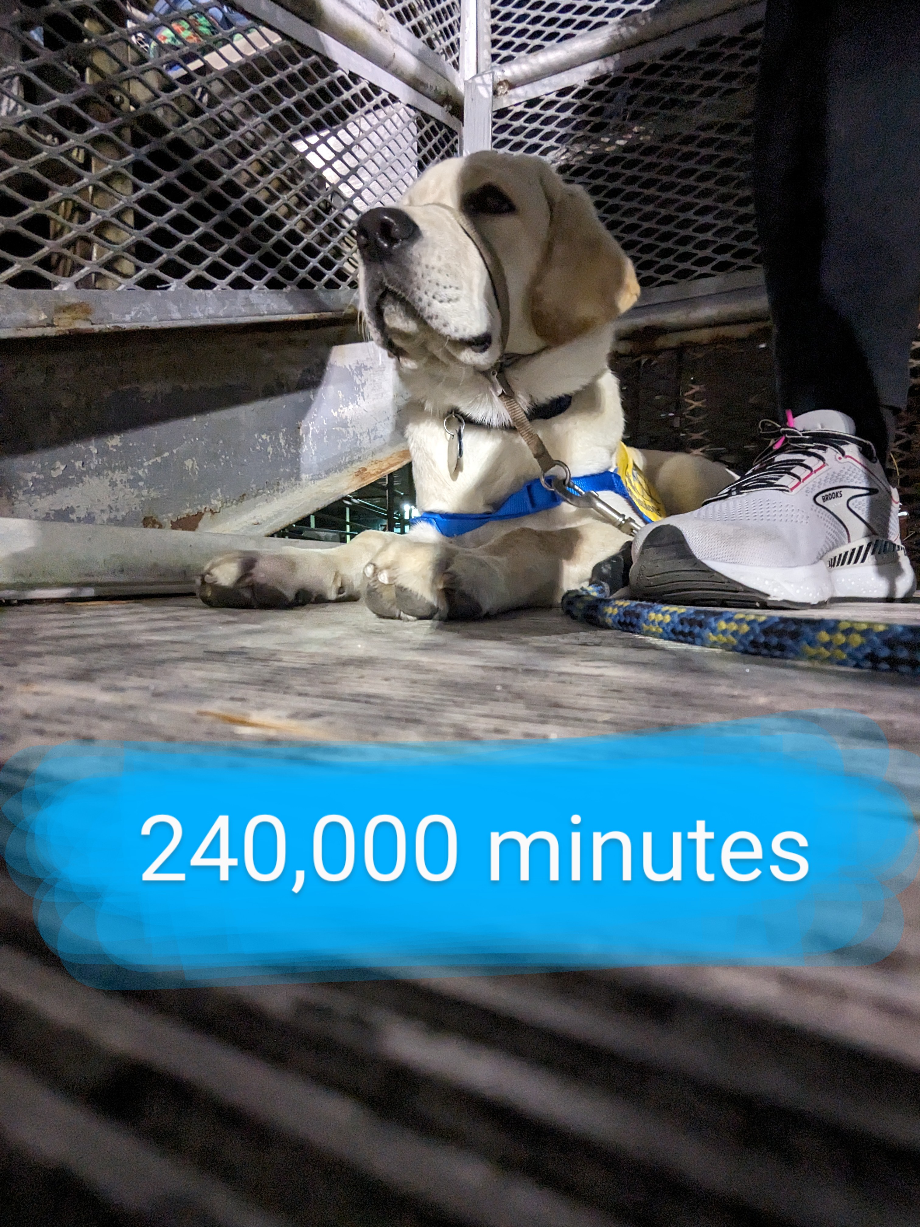 Apex and the Cary High Band