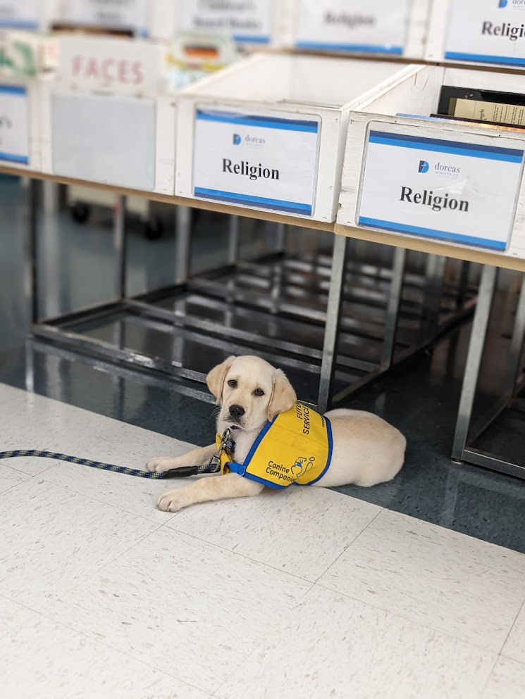 Bringing smiles to those at Dorcas