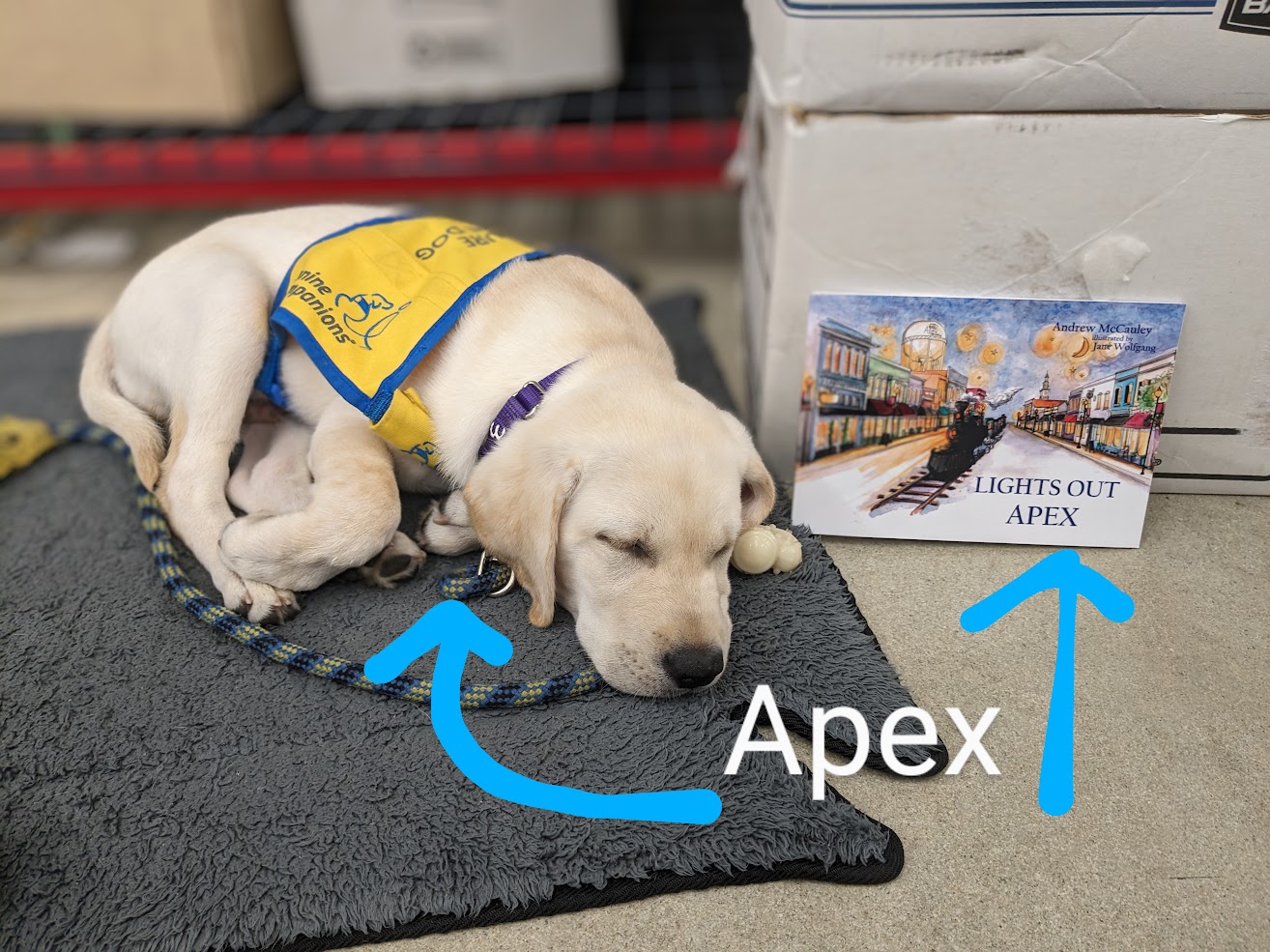 Apex highlights a book about Apex