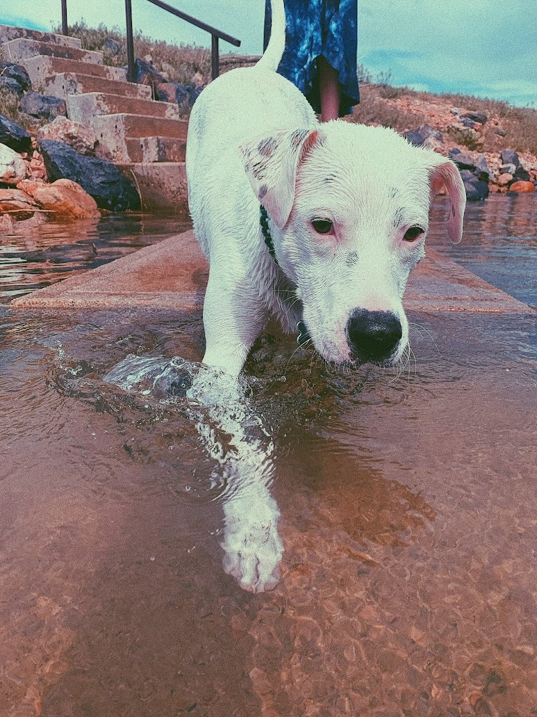 Come Take A Swim!