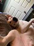 Wrinkles Galore