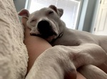 Snoozin'
