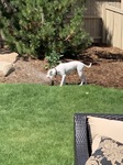 Sprinkler? For Me??