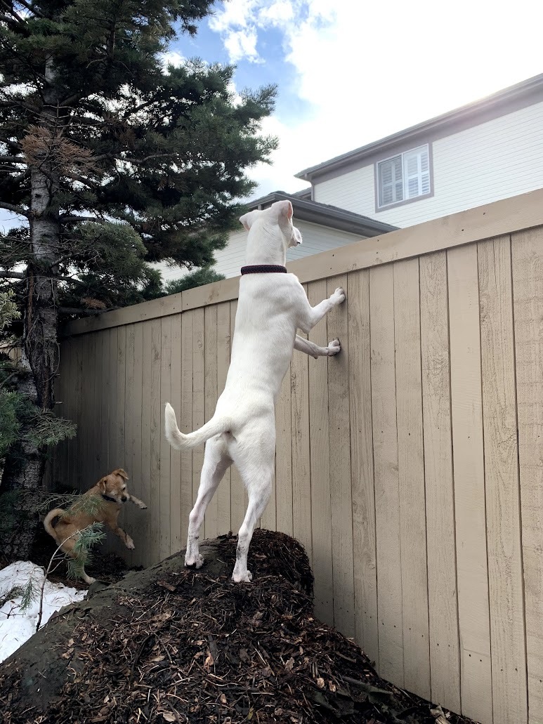 Lookin' for love!