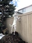 Lookin' for love!