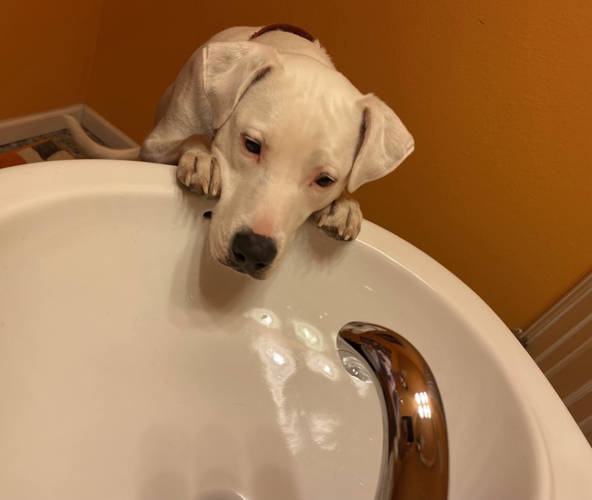 All Employees Must Wash Hands Before Returning To Work