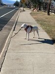 Stick