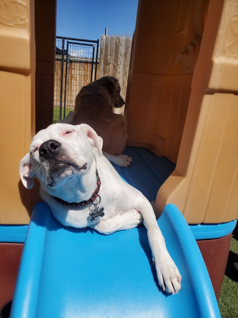 Sunbathing