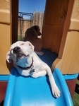 Sunbathing