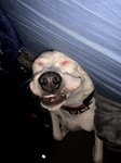 All Smiles Here!