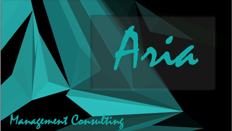 Aria Management Consulting