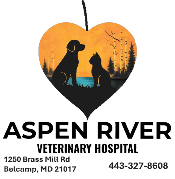 Aspen River Vet Hospital