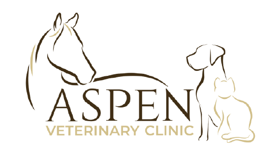 Paw-Parazzi for Hope Sponsor