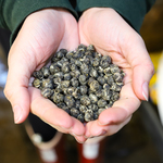 Jasmine Pearls from MEM Tea