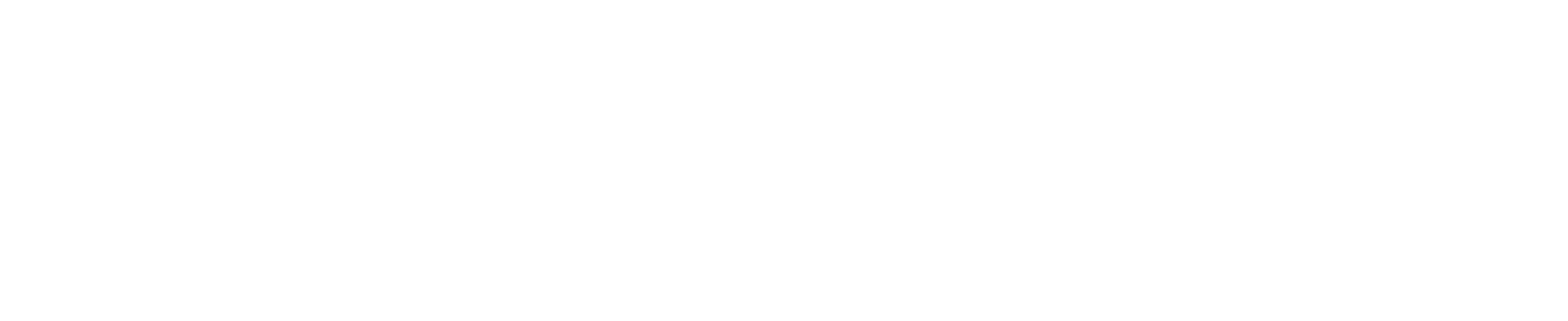 Athlete Ally