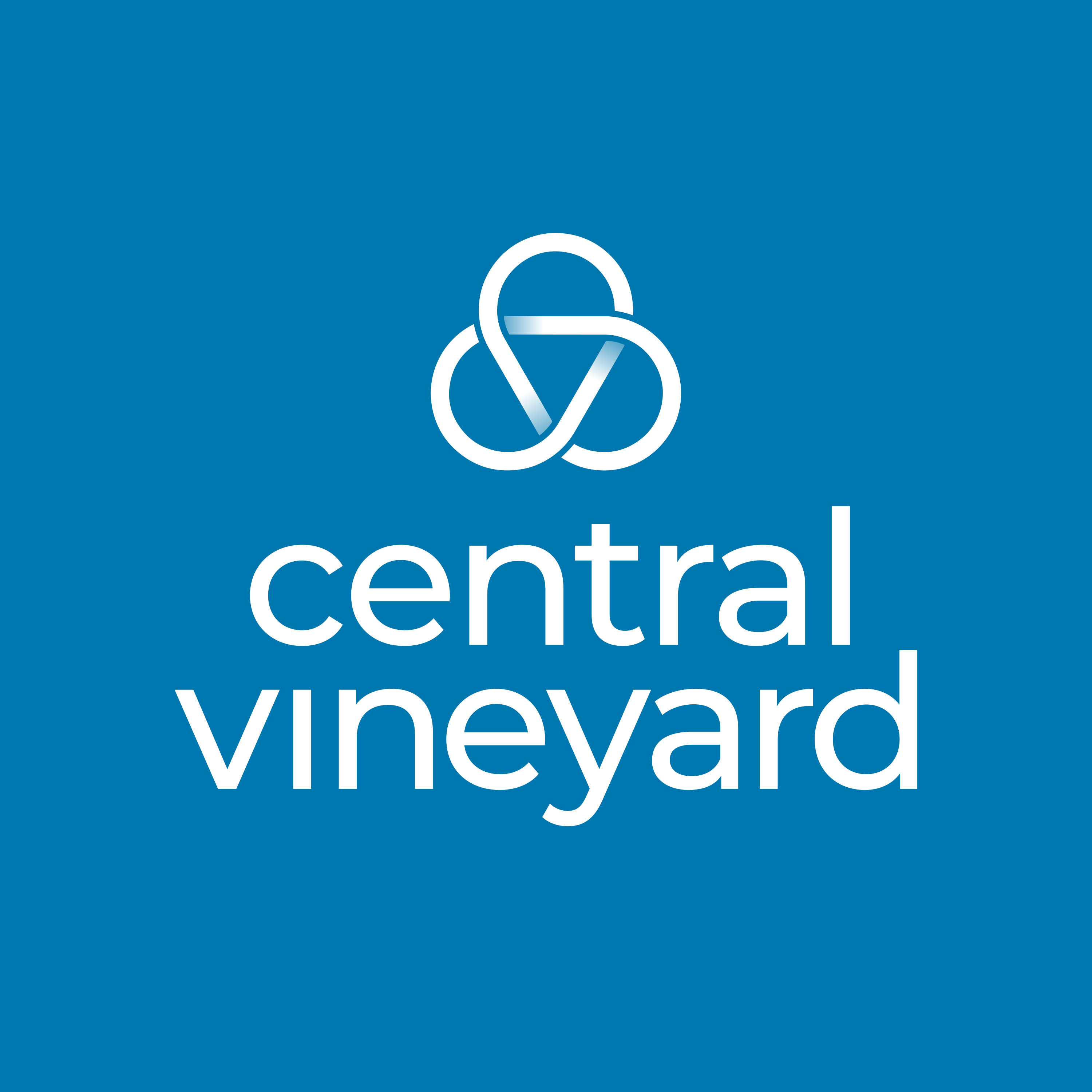 Central Vineyard