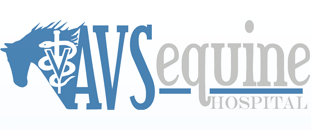 AVS Equine Hospital