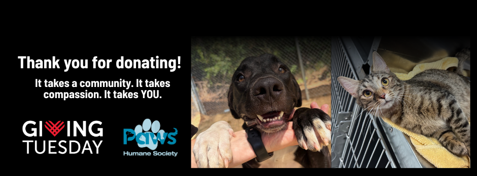 Giving Tuesday Peer 2 Peer Fundraiser