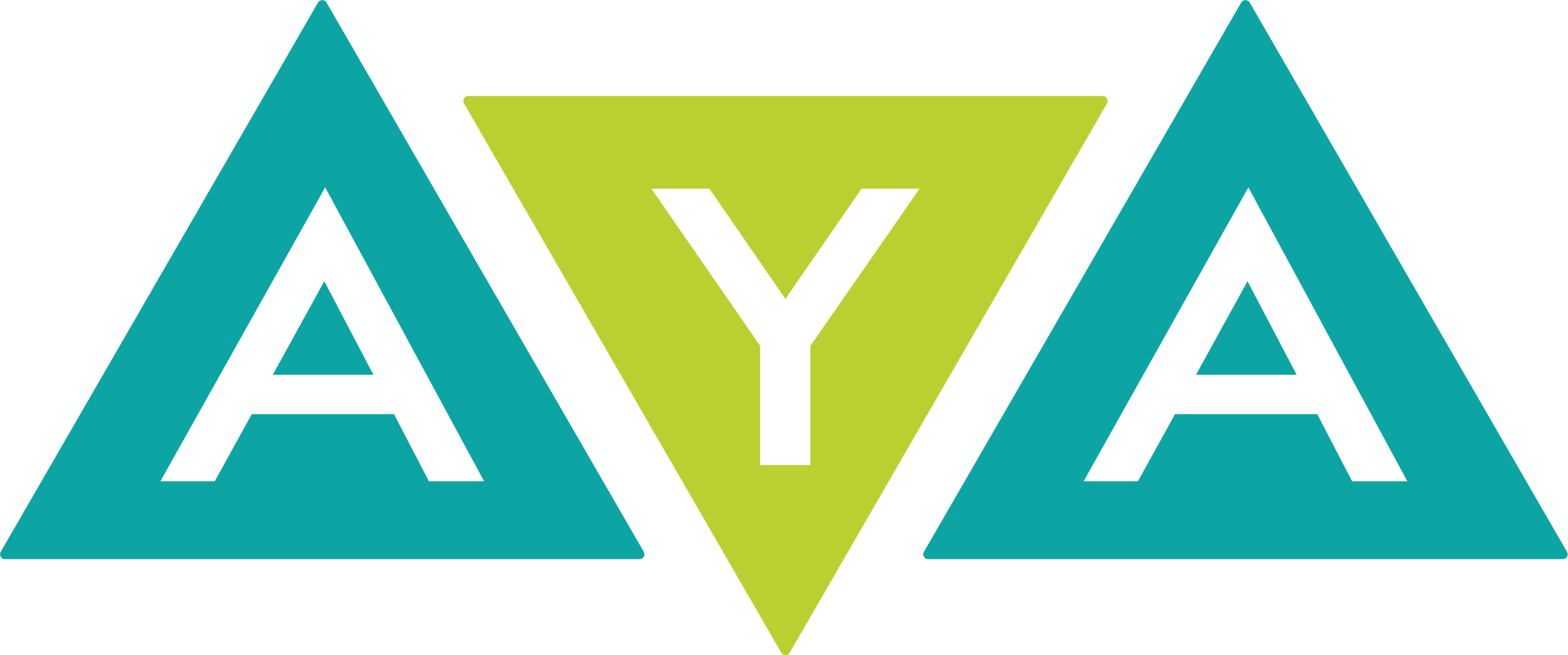 AYA Youth Collective