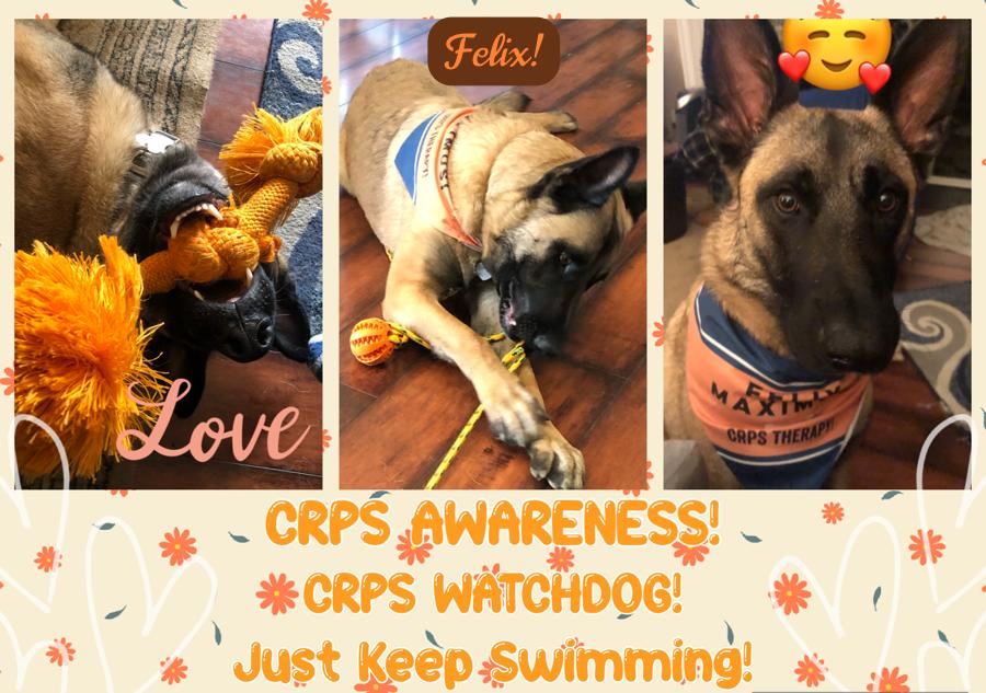 So grateful for this guy!!!! CRPS WATCHDOG!