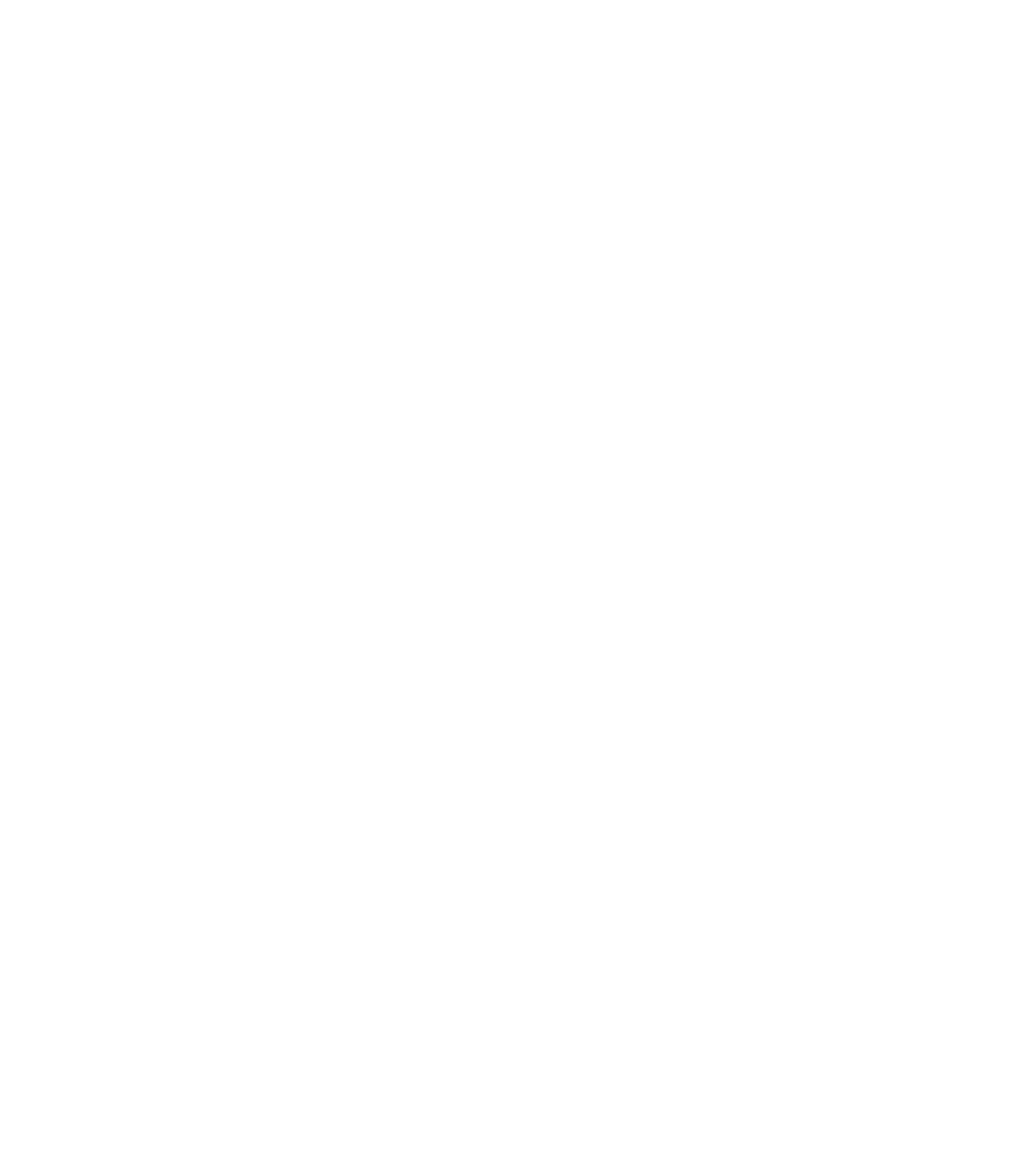 Bnei Akiva of Los Angeles