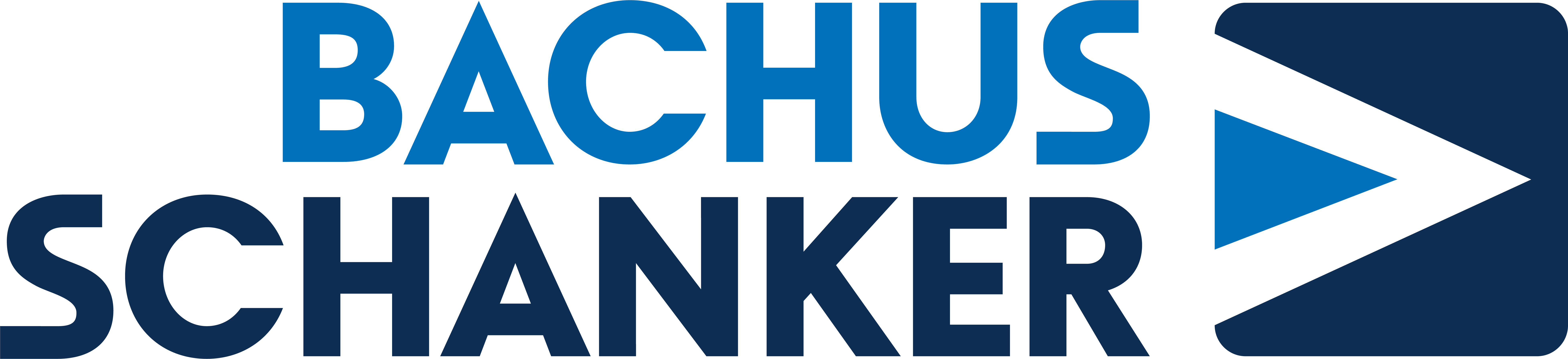 Bachus & Schanker Law