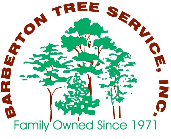 Barberton Tree Service