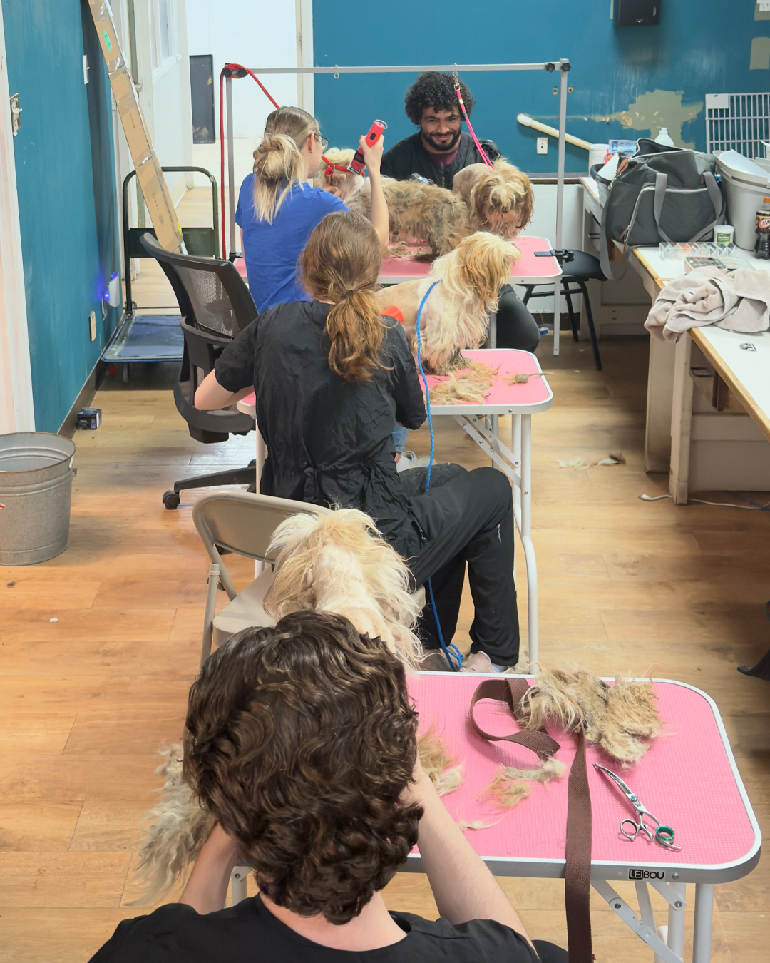 slide 10