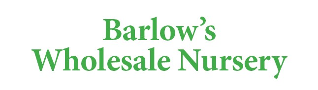Barlow's Wholesale Nursery