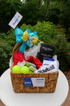 CLUB PICKLEBALL  BASKET #10