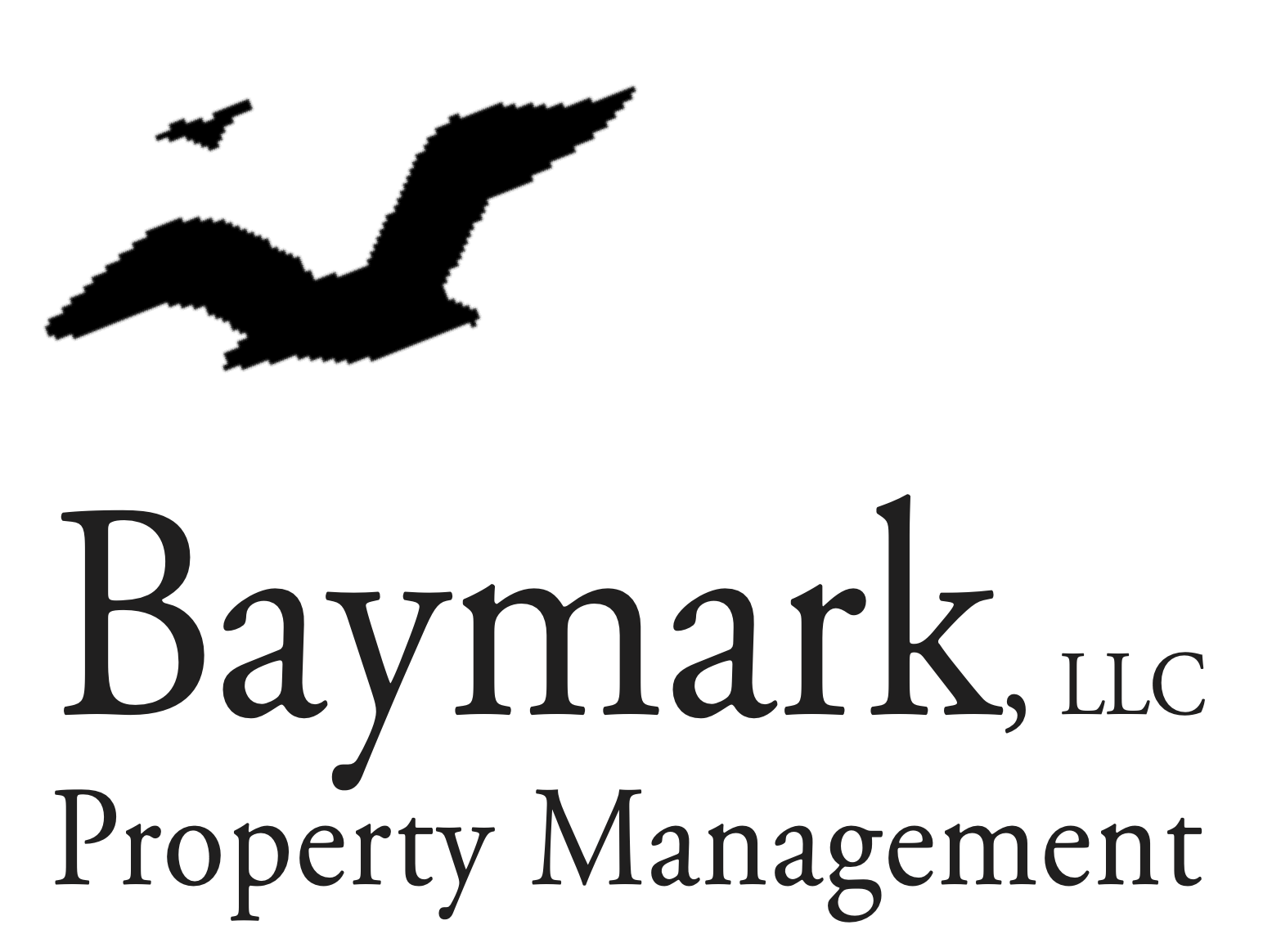 Mark Guidoboni, Baymark LLC