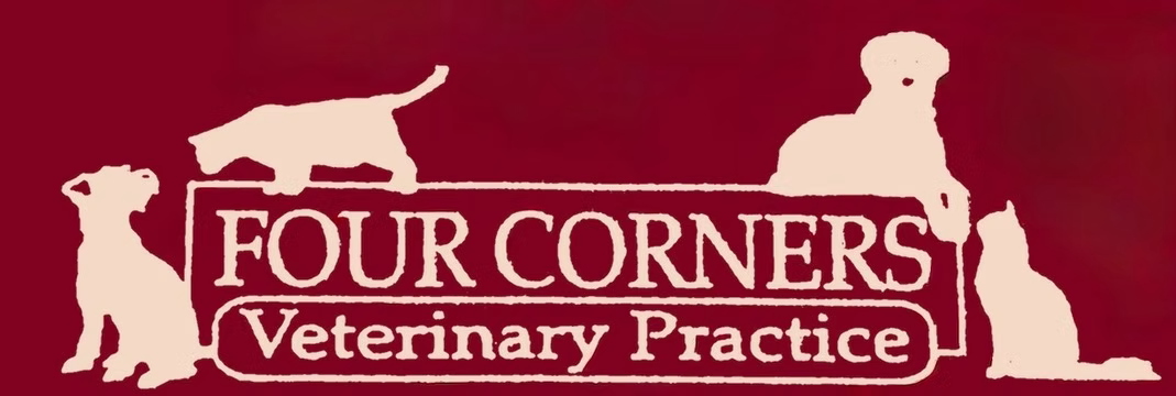 Four Corners Veterinary Practice