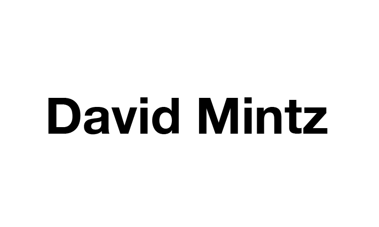 David Mintz 