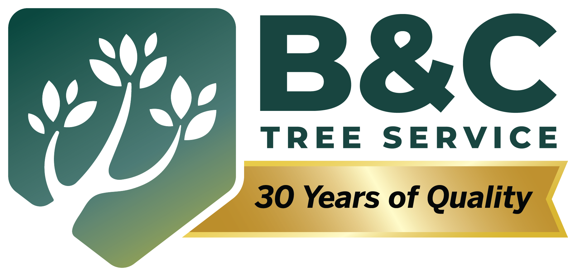 B&C Tree Services