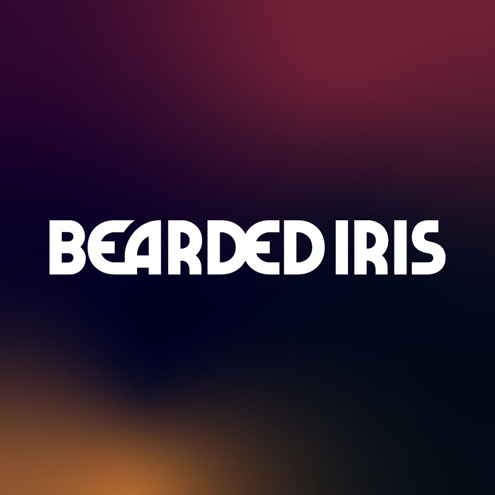 Bearded Iris