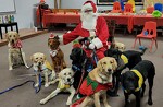 Puppy Class Christmas Pawty