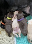 Belly up!