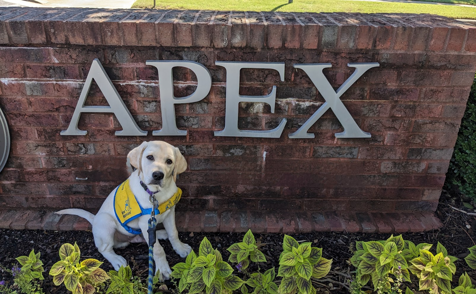 Apex, in Apex, NC