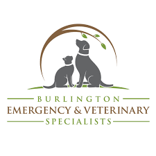 Burlington Emergency & Veterinary Specialists (BEVS)