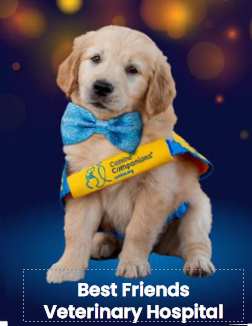 Best Friends Veterinary Hospital