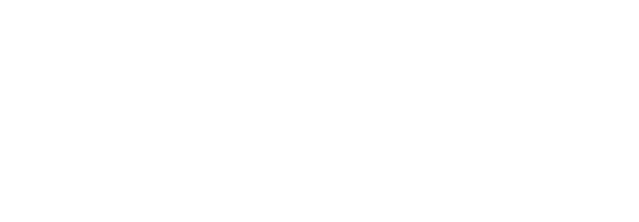 Blessman International