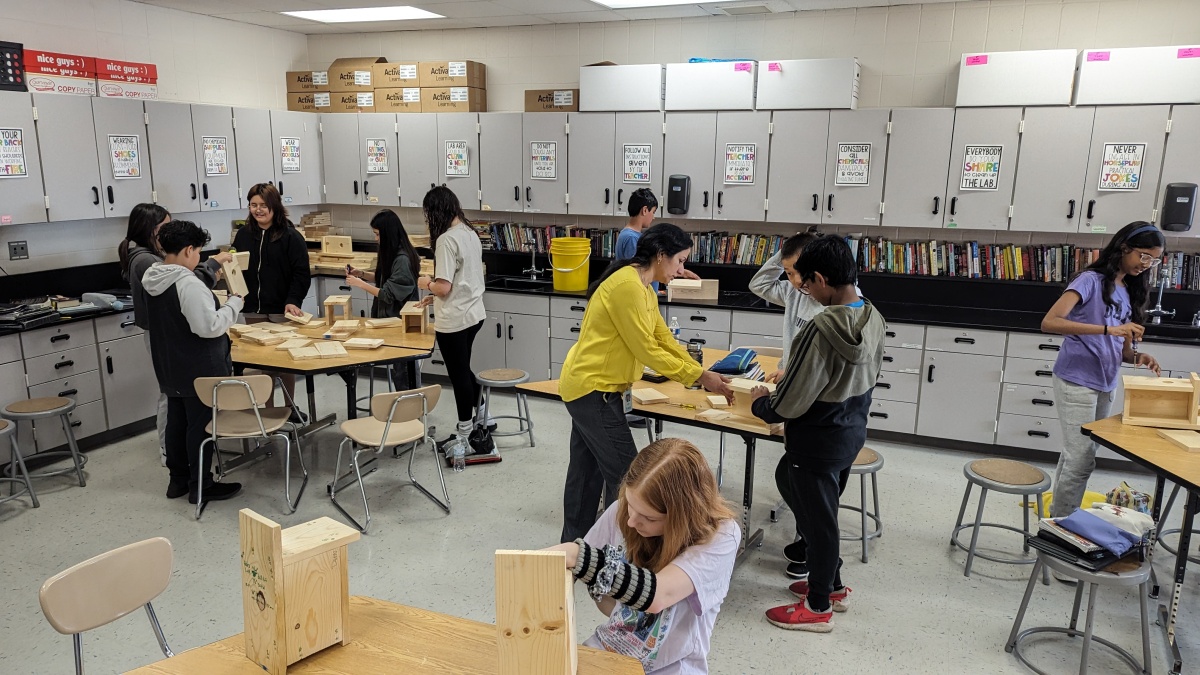 Middle School: Bluebird Houses