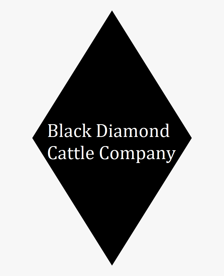 Black Diamond Cattle Company 