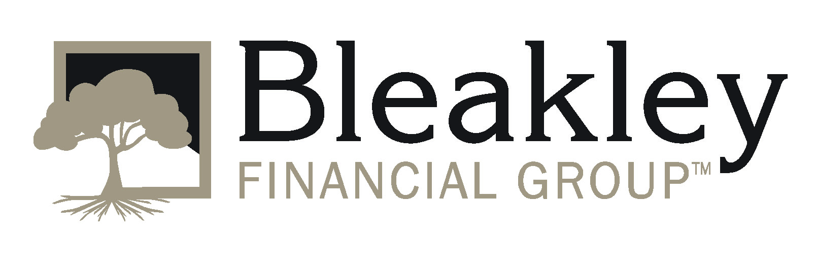Bleakley Financial Group