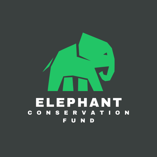 Elephant Conservation Fund